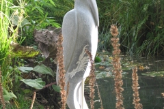 Blauwe reiger