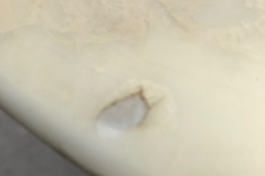 Renovatie oude tulip salontafel