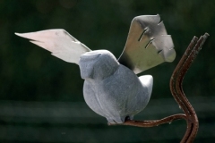 Stoneage house sparrow